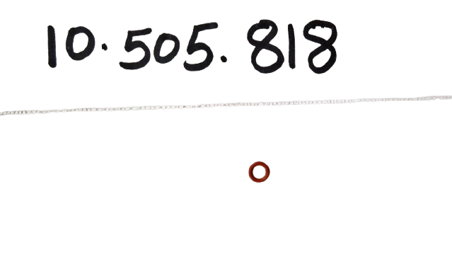 O RING 10505818
